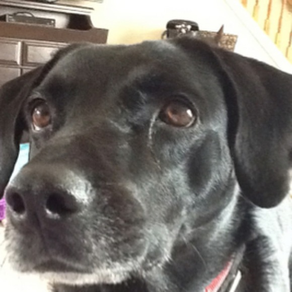 Meet your Posher, Michelle - Picture 1 of 1